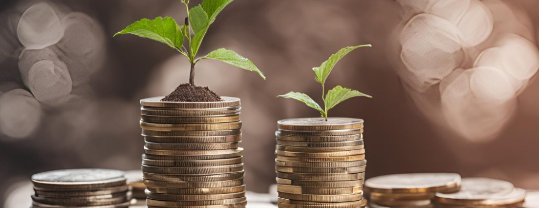 Tesouro Direto ou CDB? Qual o Melhor Investimento para 2025?